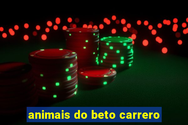 animais do beto carrero